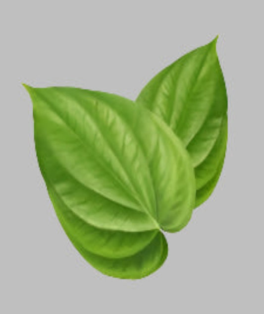 Betel Leaves