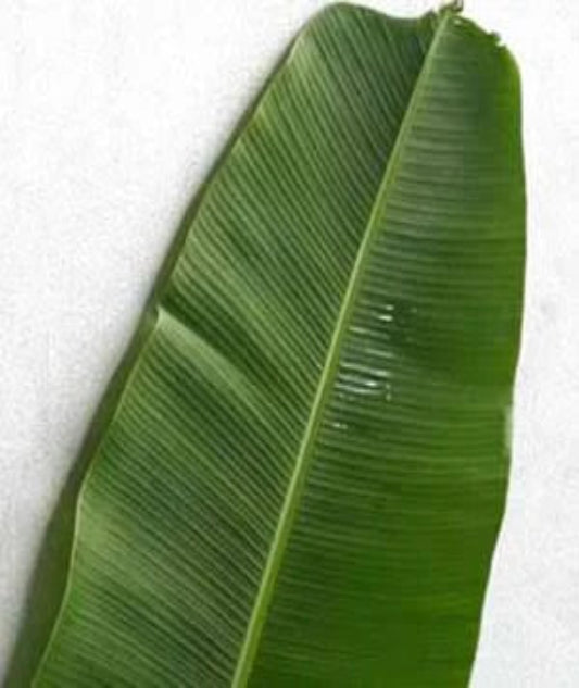 Banana Leaf