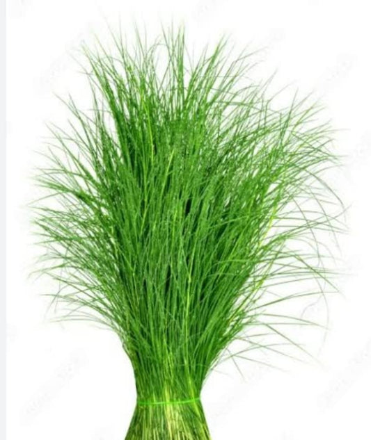 Fresh Dhruva Grass (Arugampul)