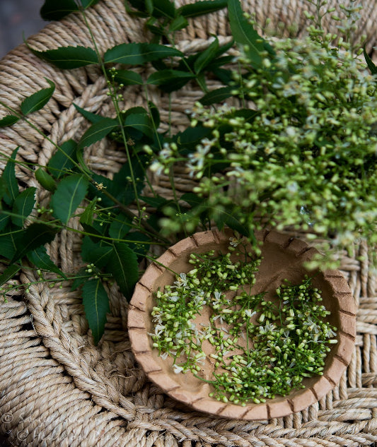 Neem Flowers